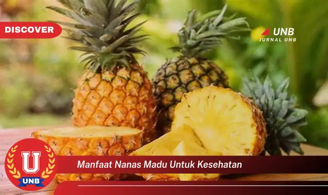 manfaat nanas madu untuk kesehatan