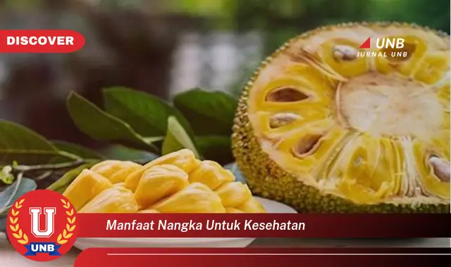 manfaat nangka untuk kesehatan