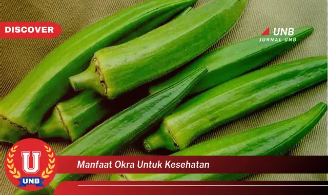 manfaat okra untuk kesehatan