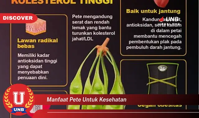 manfaat pete untuk kesehatan manfaat pete untuk kesehatan