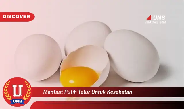 manfaat putih telur untuk kesehatan