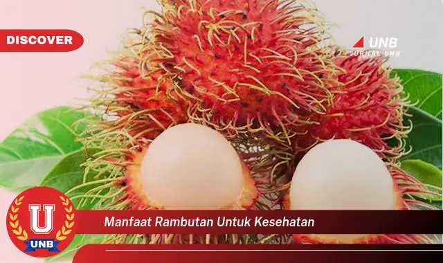 manfaat rambutan untuk kesehatan