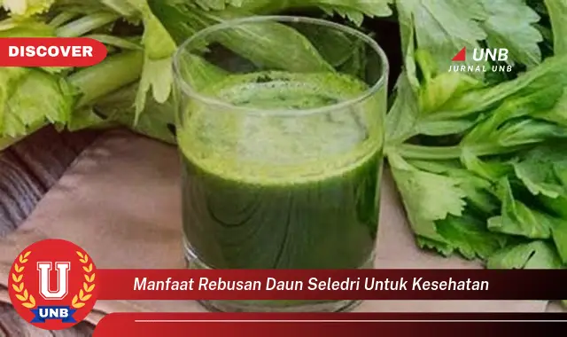 manfaat rebusan daun seledri untuk kesehatan