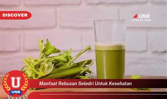 manfaat rebusan seledri untuk kesehatan