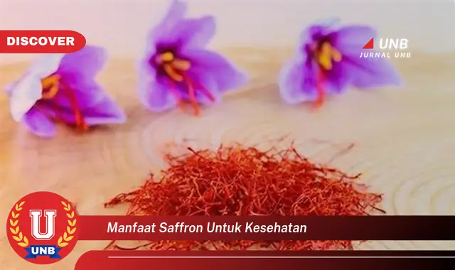 manfaat saffron untuk kesehatan