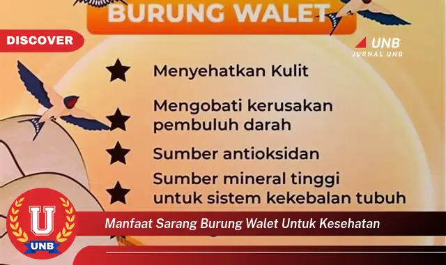 manfaat sarang burung walet untuk kesehatan