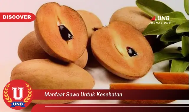 manfaat sawo untuk kesehatan