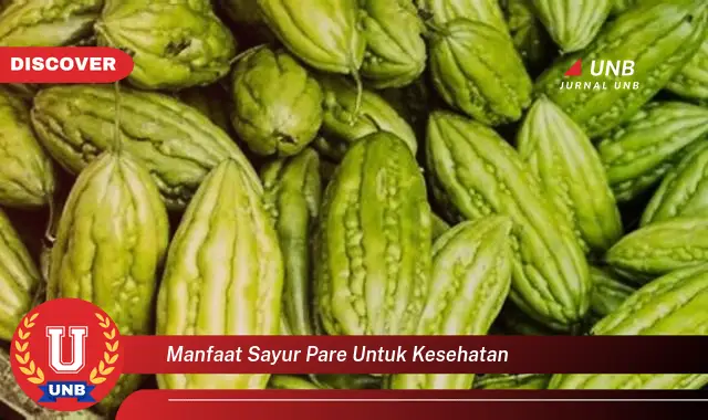 manfaat sayur pare untuk kesehatan manfaat sayur pare untuk kesehatan