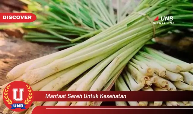 Intip 6 Manfaat Sereh Untuk Kesehatan Yang Wajib Kamu Ketahui