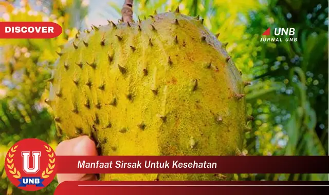 manfaat sirsak untuk kesehatan