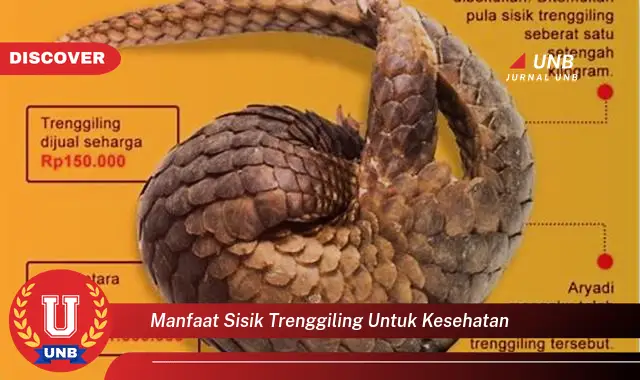 manfaat sisik trenggiling untuk kesehatan