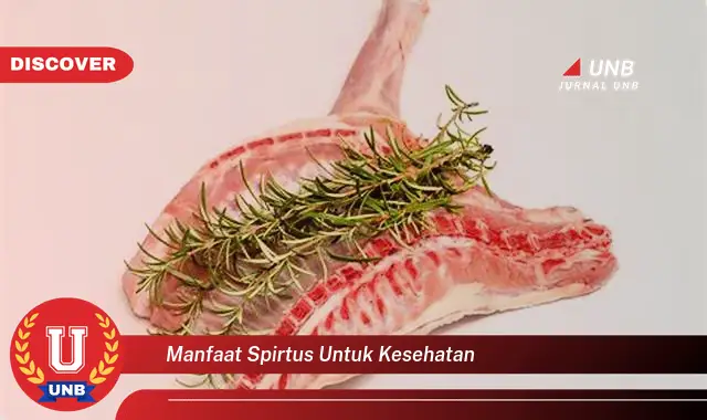 manfaat spirtus untuk kesehatan manfaat spirtus untuk kesehatan