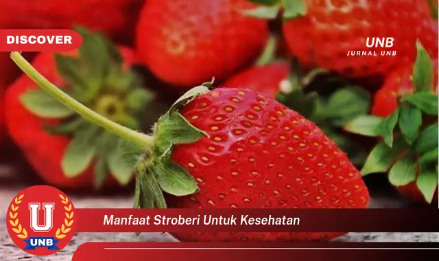 manfaat stroberi untuk kesehatan