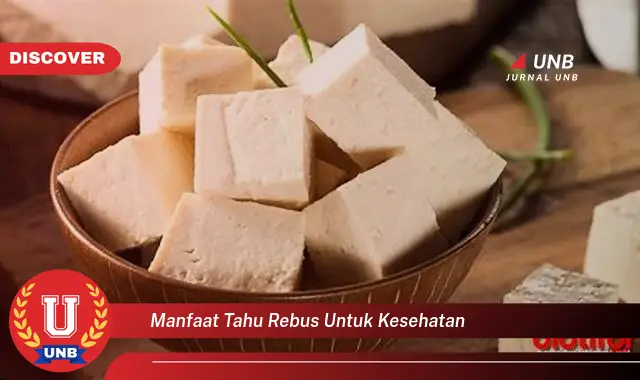 manfaat tahu rebus untuk kesehatan