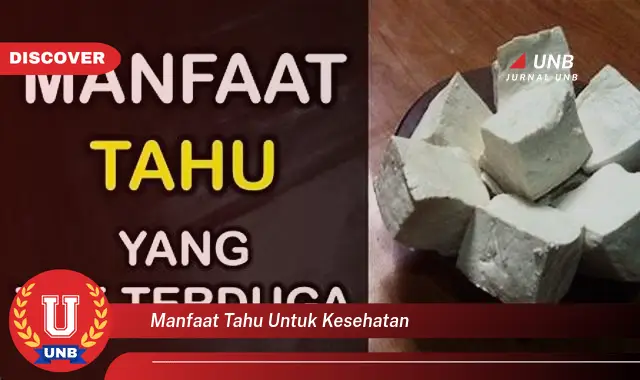 manfaat tahu untuk kesehatan