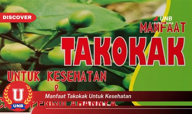 manfaat takokak untuk kesehatan