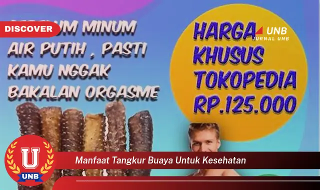 manfaat tangkur buaya untuk kesehatan