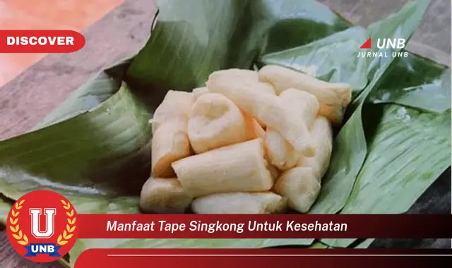 manfaat tape singkong untuk kesehatan