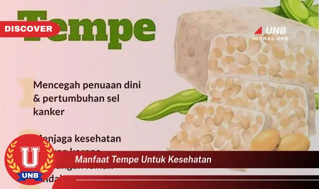 manfaat tempe untuk kesehatan manfaat tempe untuk kesehatan