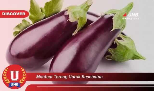 Intip 6 Manfaat Terong untuk Kesehatan yang Bikin Kamu Penasaran