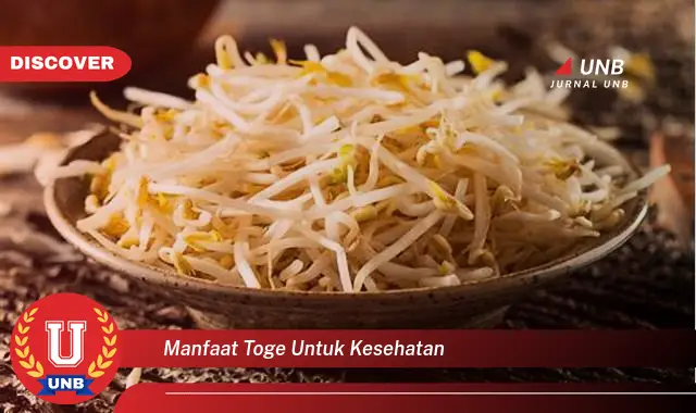 manfaat toge untuk kesehatan