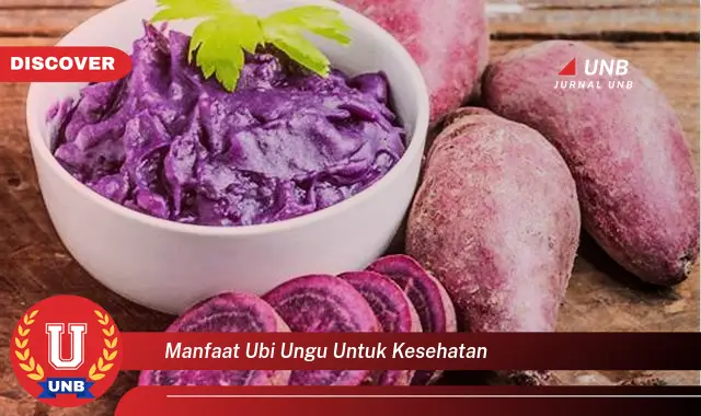 manfaat ubi ungu untuk kesehatan