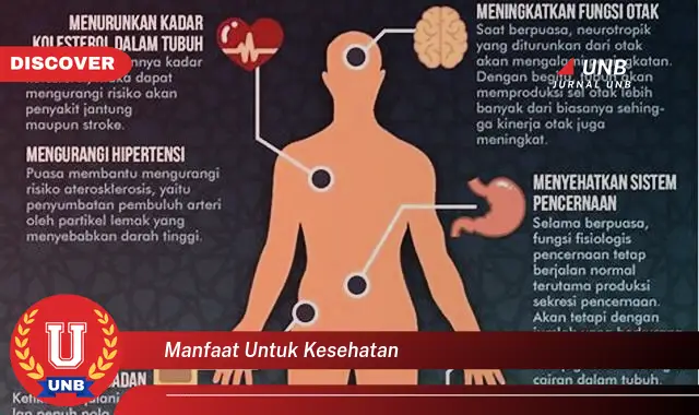 manfaat untuk kesehatan