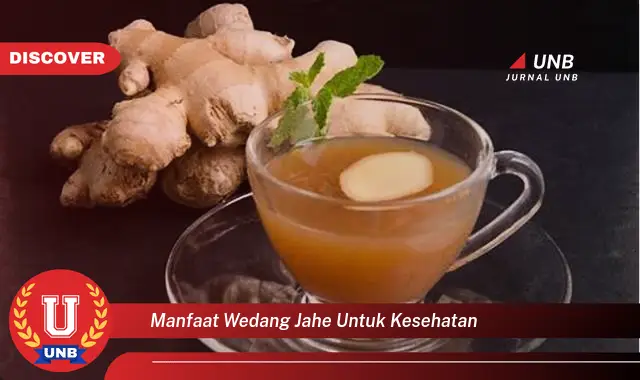 manfaat wedang jahe untuk kesehatan manfaat wedang jahe untuk kesehatan