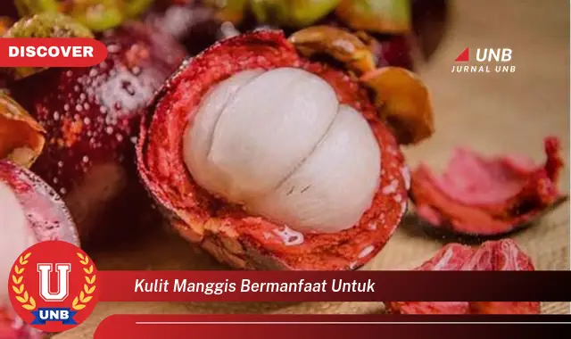 kulit manggis bermanfaat untuk kulit manggis bermanfaat untuk