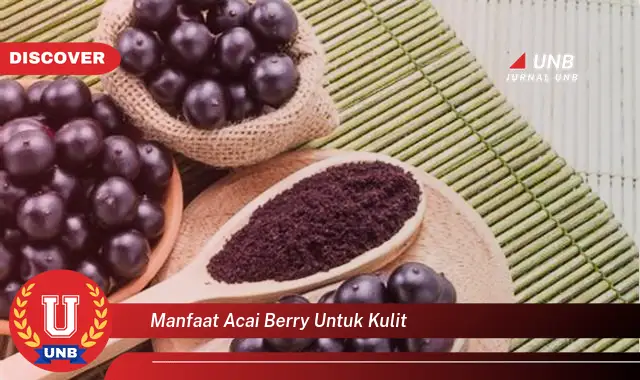 manfaat acai berry untuk kulit