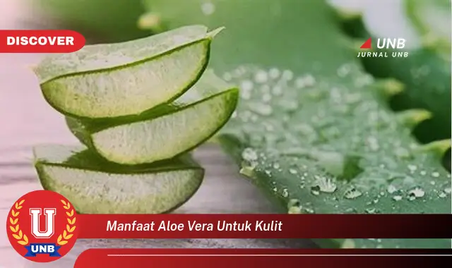 manfaat aloe vera untuk kulit