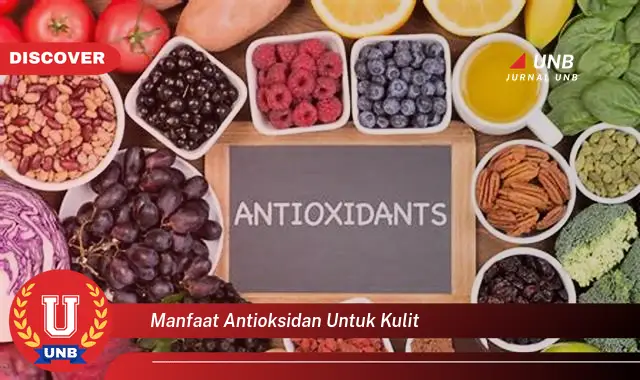 manfaat antioksidan untuk kulit manfaat antioksidan untuk kulit