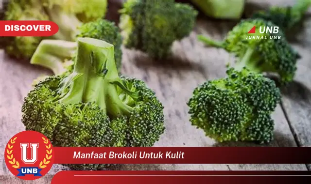 manfaat brokoli untuk kulit manfaat brokoli untuk kulit