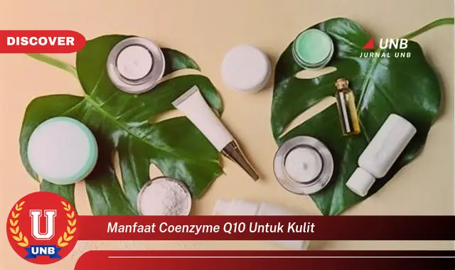 manfaat coenzyme q10 untuk kulit manfaat coenzyme q10 untuk kulit