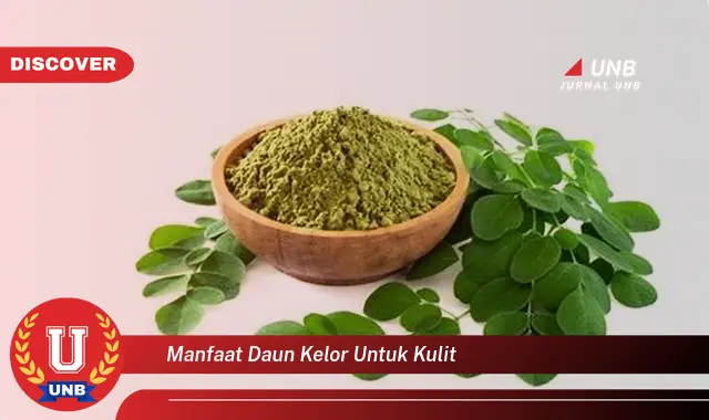 manfaat daun kelor untuk kulit