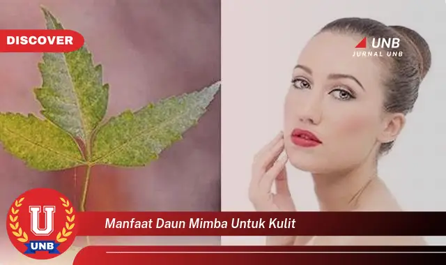 manfaat daun mimba untuk kulit manfaat daun mimba untuk kulit