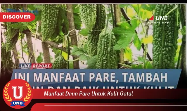 manfaat daun pare untuk kulit gatal manfaat daun pare untuk kulit gatal