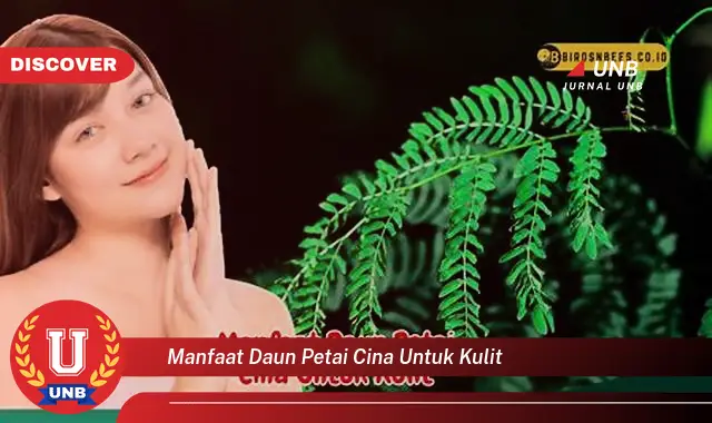 manfaat daun petai cina untuk kulit manfaat daun petai cina untuk kulit