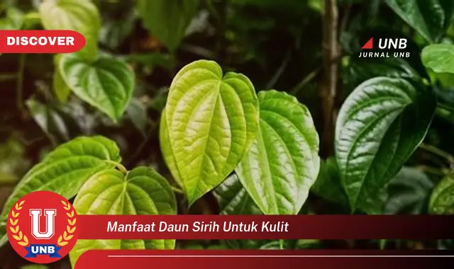 Intip 6 Manfaat Daun Sirih untuk Kulit yang Wajib Kamu Ketahui