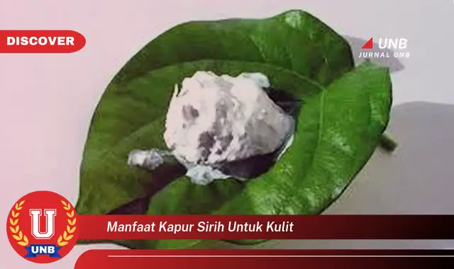 manfaat kapur sirih untuk kulit