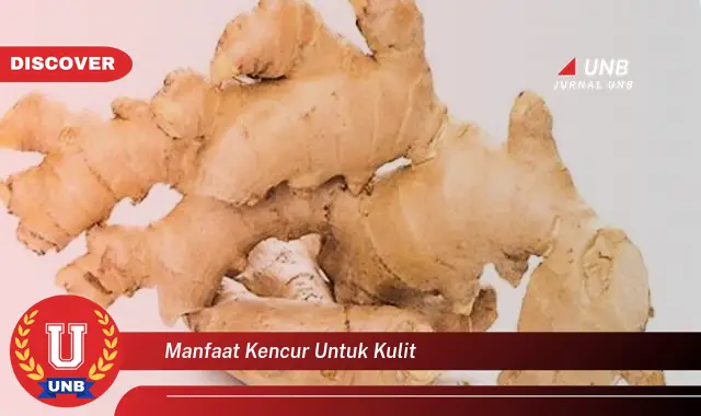 manfaat kencur untuk kulit