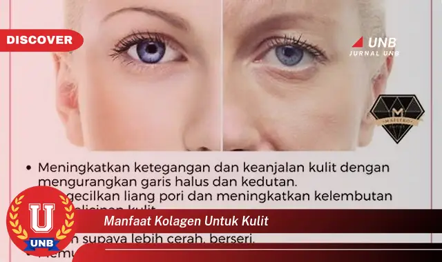 manfaat kolagen untuk kulit manfaat kolagen untuk kulit