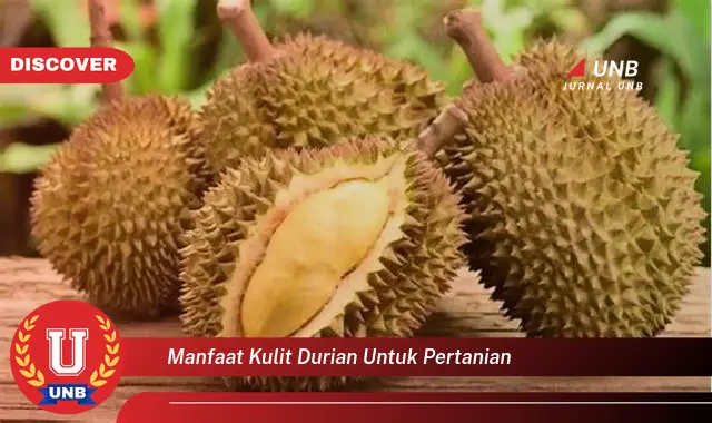 manfaat kulit durian untuk pertanian