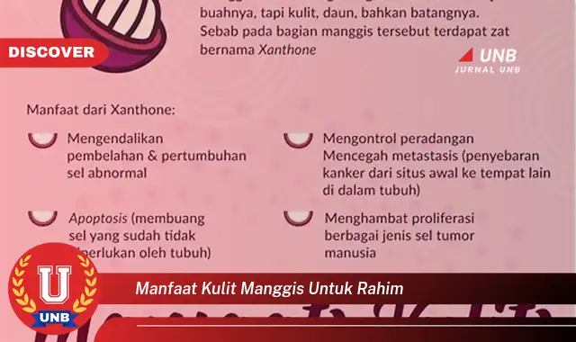 manfaat kulit manggis untuk rahim