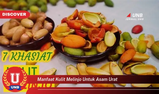 manfaat kulit melinjo untuk asam urat manfaat kulit melinjo untuk asam urat