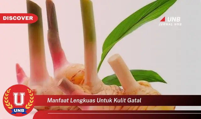 manfaat lengkuas untuk kulit gatal manfaat lengkuas untuk kulit gatal
