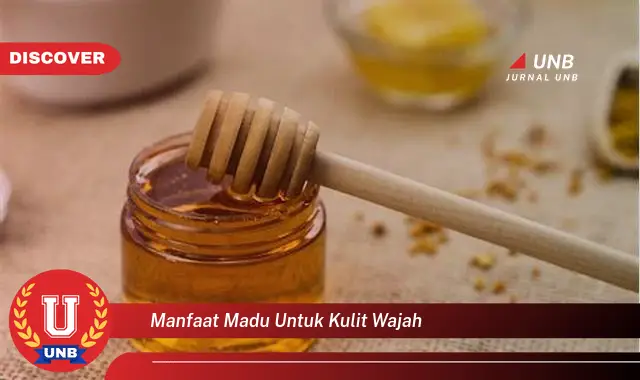 manfaat madu untuk kulit wajah