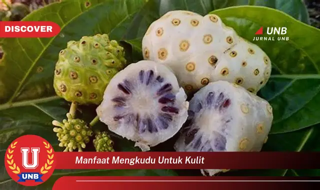 manfaat mengkudu untuk kulit