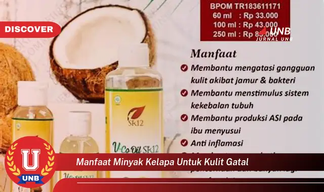 manfaat minyak kelapa untuk kulit gatal manfaat minyak kelapa untuk kulit gatal