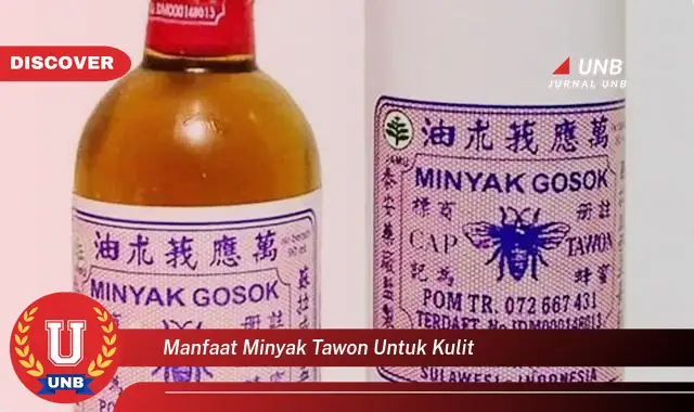 manfaat minyak tawon untuk kulit manfaat minyak tawon untuk kulit